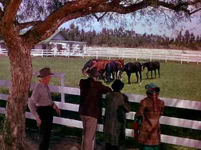 See anything here you like - The Story of Seabiscuit