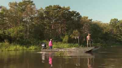          -See anything?
      -I don't see nothin'. - Swamp People