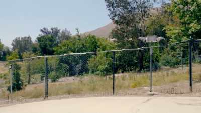 See, they don't have it on
the main highway road - My Scientology Movie