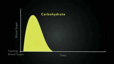 See how carbs like bread,
pasta, rice, and yes, - Fat Fiction