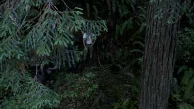 See how that's all woven - Expedition Bigfoot