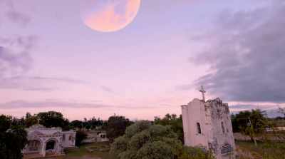 See how the sun and the moon bow for you - Black Is King