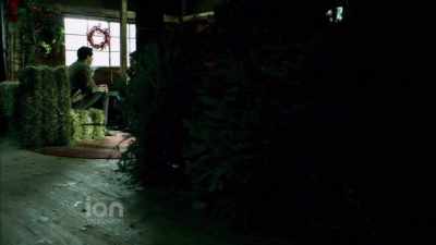 See, I always thought I was gonna follow - The Spruces and the Pines