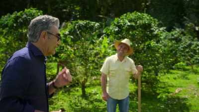 See, I know nothing about what makes
Costa Rican coffee different than coffee... - The Reluctant Traveler with Eugene Levy