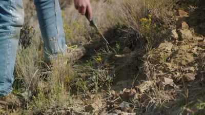 SEE IF I CAN'T FIND THE SOURCE.
SOMETHING GOING IN RIGHT THERE. - Dino Hunters
