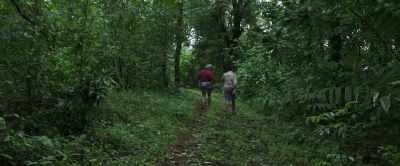 See, this is the elephant trail
They pass through here. - Churuli