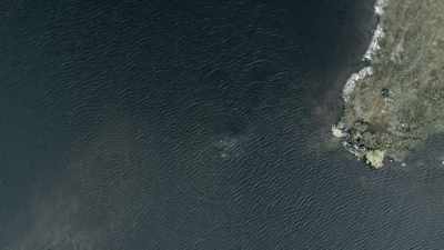 See that line? Yeah. Just follow
that down. Don't pull on it. - Celebrity SAS: Who Dares Wins