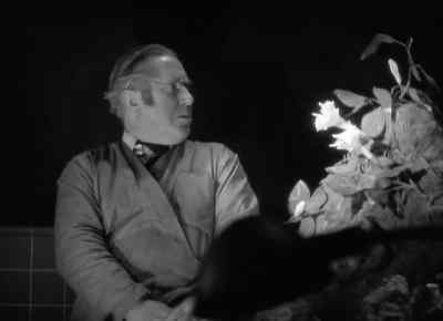 See, man. See that moon vine. - Werewolf of London