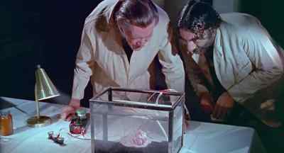 See, we must utilize the
solar energy storage cell, - The Astro Zombies