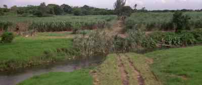 - See that river?
- The one without the bridge? - Romancing the Stone