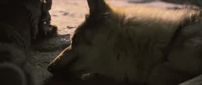 See......not that bad. - Alpha