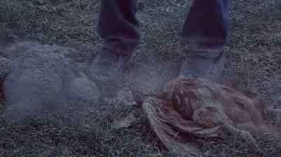 See? - The Day After