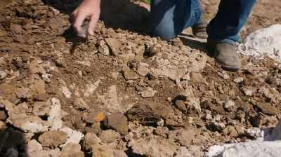 SEE THE BACK SIDE HERE,
GOING DOWN? - Dino Hunters