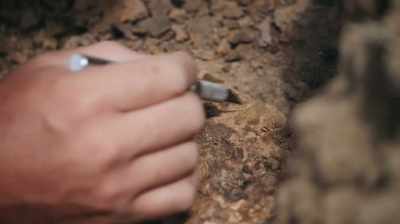 SEE THE TOOTH ROWS?
FIVE, SIX SIX ROWS. - Dino Hunters