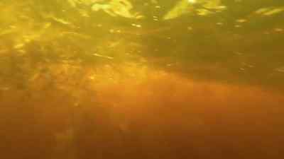        See them bubbles?
          Get the gun. - Swamp People