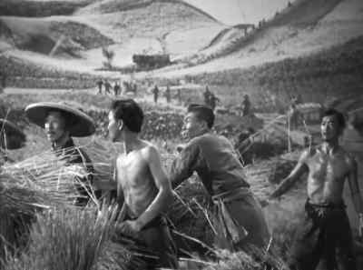 See! They land in one place! - The Good Earth