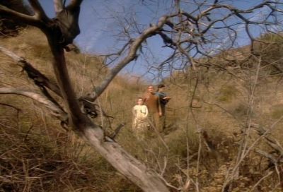 See that tree?
Sometimes we go there to play. - Star Trek: Deep Space Nine