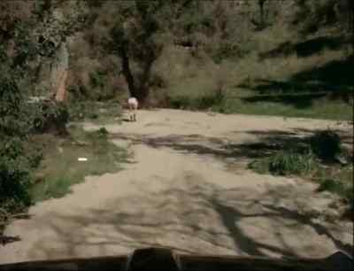 See ya - The Pig Keeper's Daughter