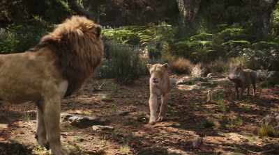 Seeing you again, - The Lion King