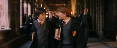Seeker? - Harry Potter and the Philosopher's Stone