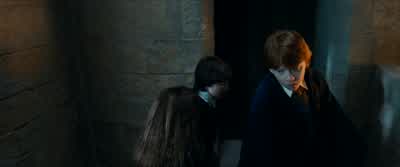 Seeker? - Harry Potter and the Philosopher's Stone