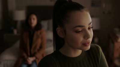 Seemingly, perfect. - Pretty Little Liars: The Perfectionists