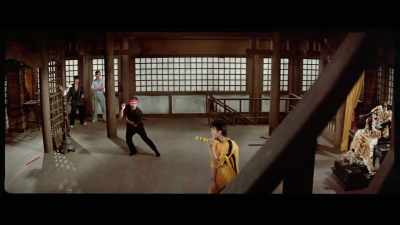 'Seemingly similar in the way
they wield their weapons, - The Final Game of Death