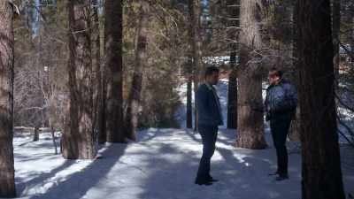 Seems like
everything between you and her - The Holiday Proposal Plan