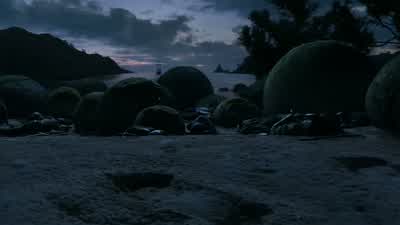 Seems they've brought a pig - The Chronicles of Narnia: The Voyage of the Dawn Treader