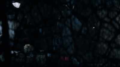 Seg, you shouldn't be here. - Krypton