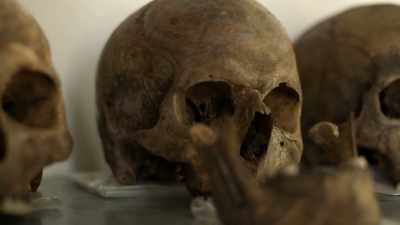 SEIDULE: The human skull is
one of the hardest elements - Origins: The Journey of Humankind