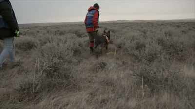 Selena Not Afraid's case
happened after missing and - Murder in Big Horn