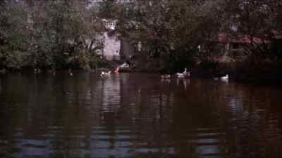 Send him in. - Bring Me the Head of Alfredo Garcia