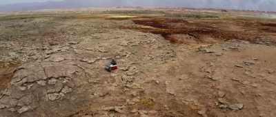 Sequencing of DNA is proof - Alien Worlds