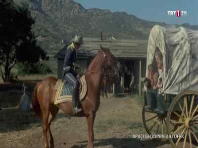Sergeant Walker?
- Hello. - 40 Guns to Apache Pass