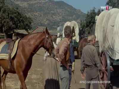 Sergeant Walker. - 40 Guns to Apache Pass