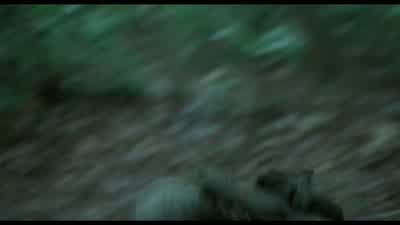 What the fuck's going on? - Platoon