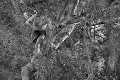 - Sergeant!
- Yes, sir. - Tarzan Triumphs