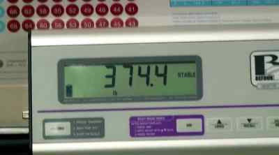 SERIOUSLY? - My 600-lb Life