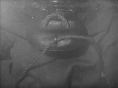 Serizawa!
Serizawa! Serizawa! - Godzilla: King of the Monsters!