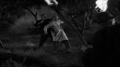 Set fire to the marsh grass. - House of Frankenstein