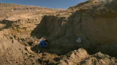 SET IT IN THE BOX AND
KEEP DIGGING. - Dino Hunters