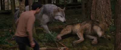 Sеth, аrе yоu оkаy? - The Twilight Saga: Breaking Dawn   Part 2
