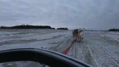 Settle down. Holy [bleep]. - Life Below Zero: Next Generation