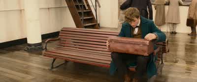 Dougal, settle down now, please. - Fantastic Beasts and Where to Find Them