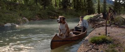 Settle. Sit. Sit.
Sit, Buck. - The Call of the Wild