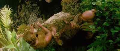 - Seventy-five?
- That's what the map says. - Cutthroat Island