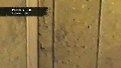 Several stains along
the paneling - Buried In The Backyard