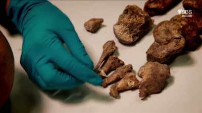 ..severely damaged, - Curse of the Ancients with Alice Roberts