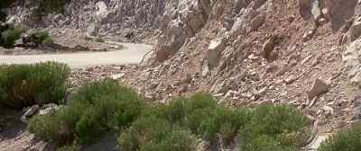 Severence, if you can hear me, - Joshua Tree